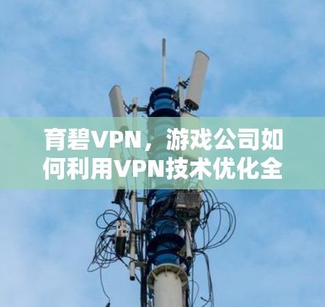 育碧VPN,游戏公司如何利用VPN技术优化全球玩家体验 育碧VPN,游戏公司如何利用VPN技术优化全球玩家体验