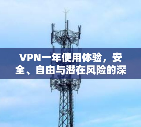 VPN一年使用体验，安全、自由与潜在风险的深度分析